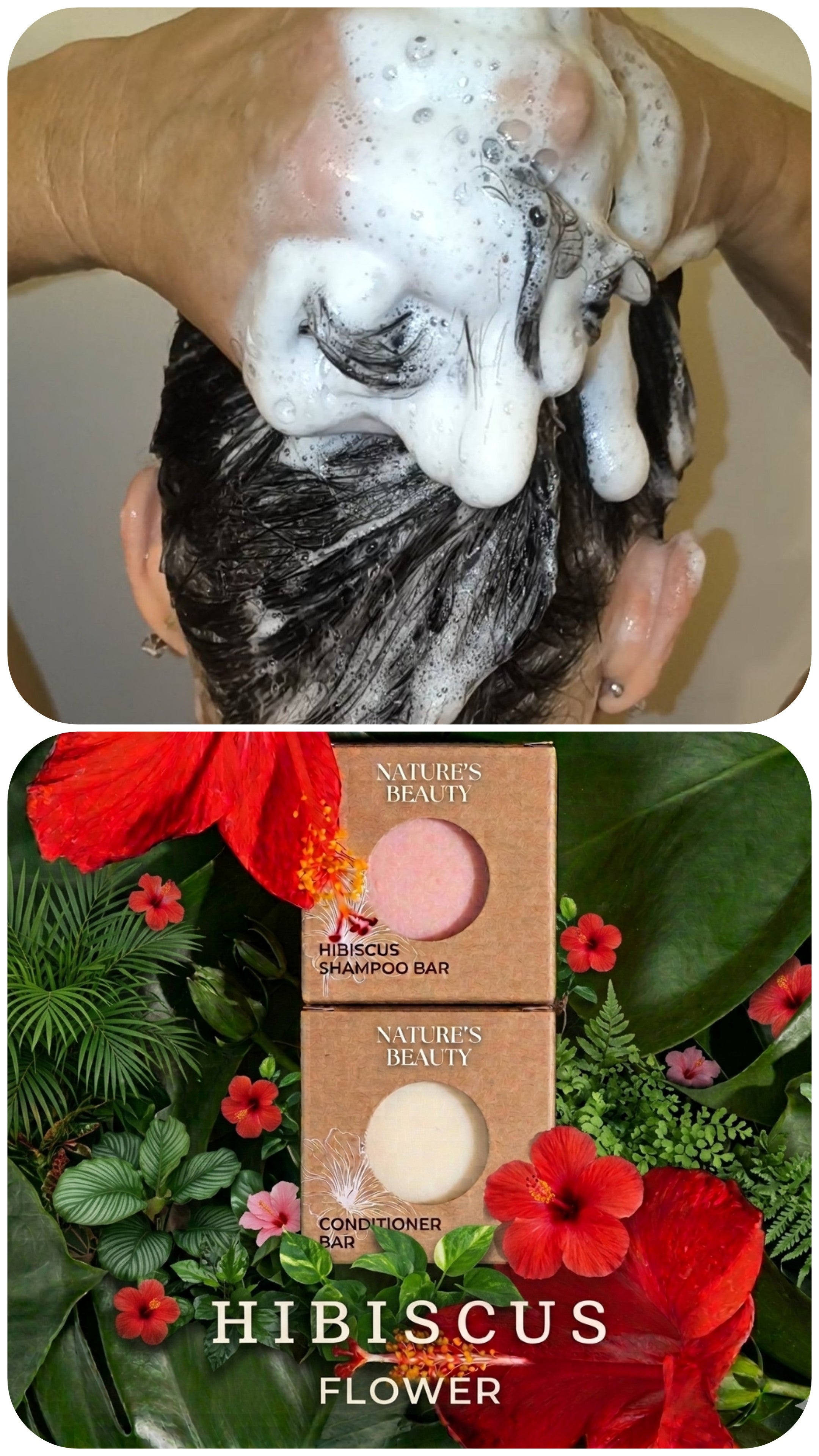 Organic shampoo and conditioner bars hibiscus flower